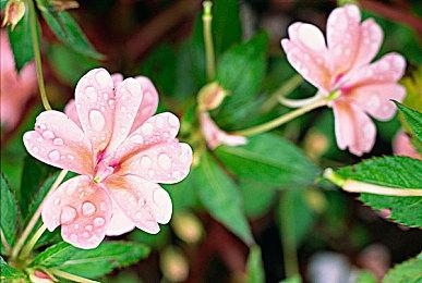 英国周榜：《瑞奇与叮当：分离》夺冠